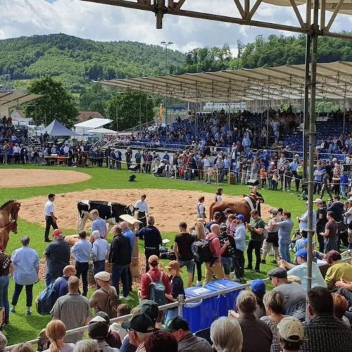 Swiss Schwingen Championship - Lausen, Switzerland_2